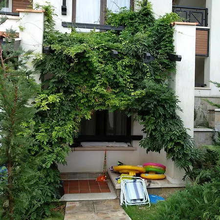 Oasis & 2, *